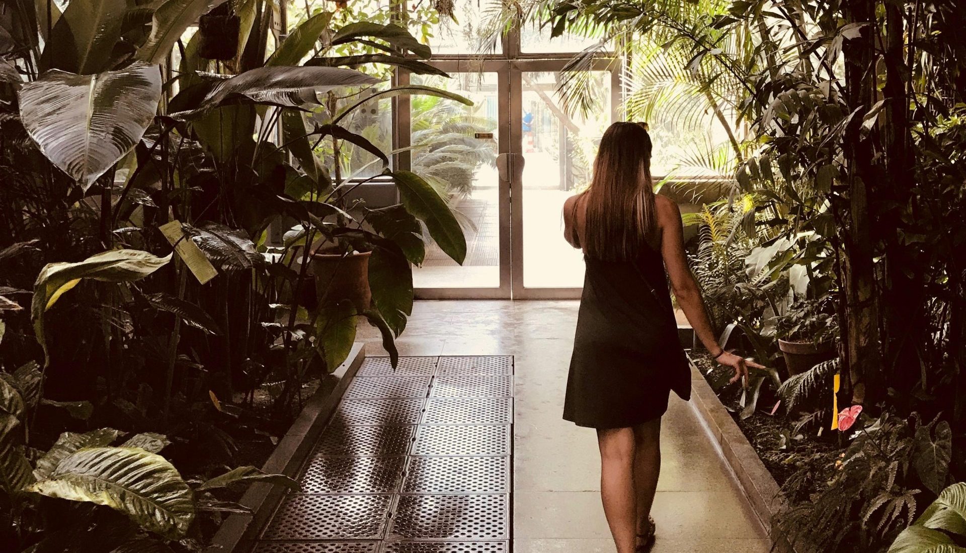 Habitat Park SCBD, Tempat Healing Lengkap Dari Taman, Kafe Hingga Mini Zoo