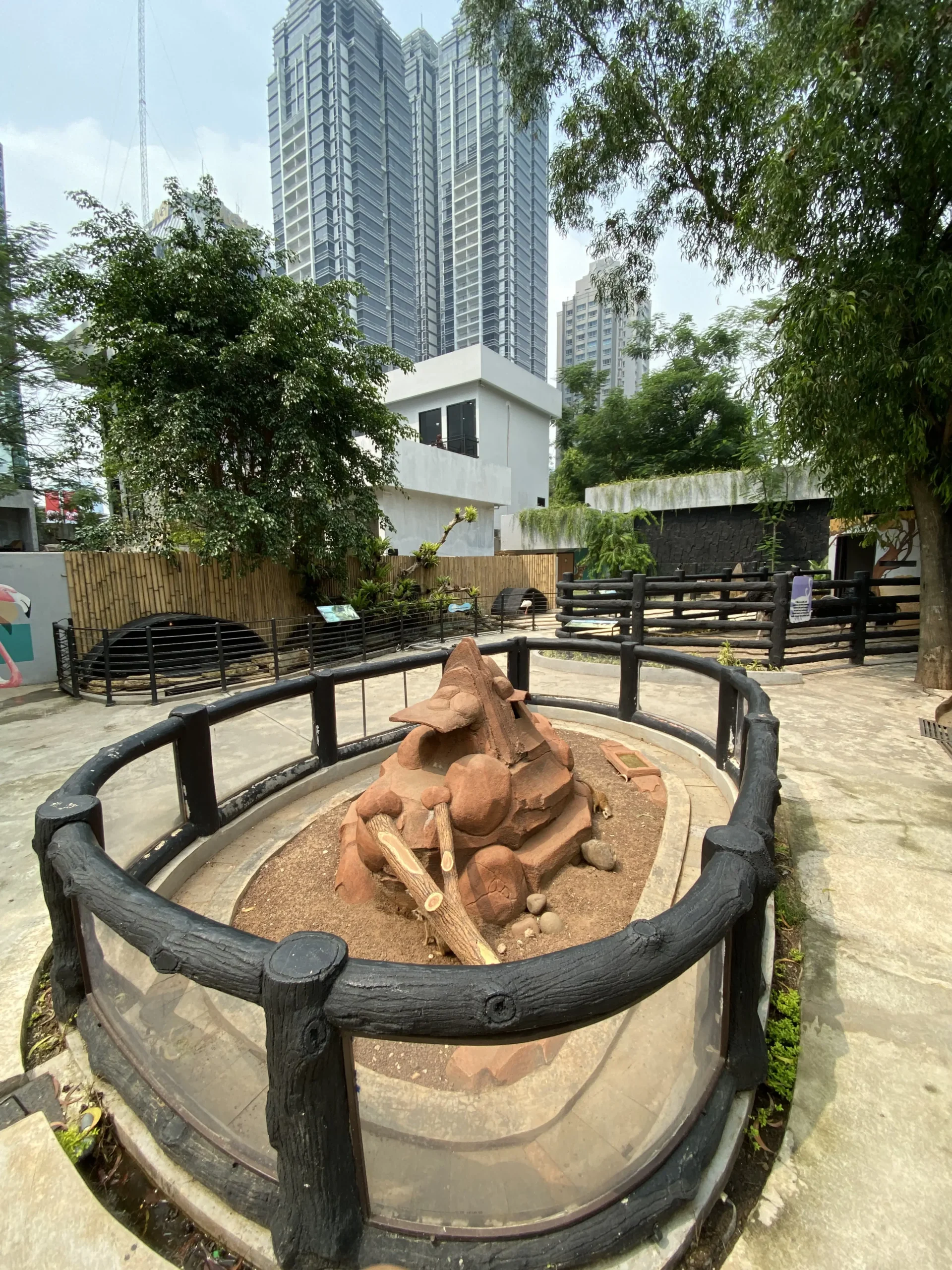 Area 4
