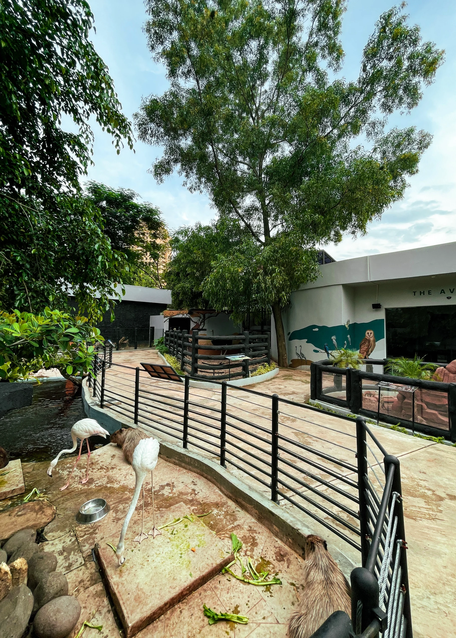 Area 1